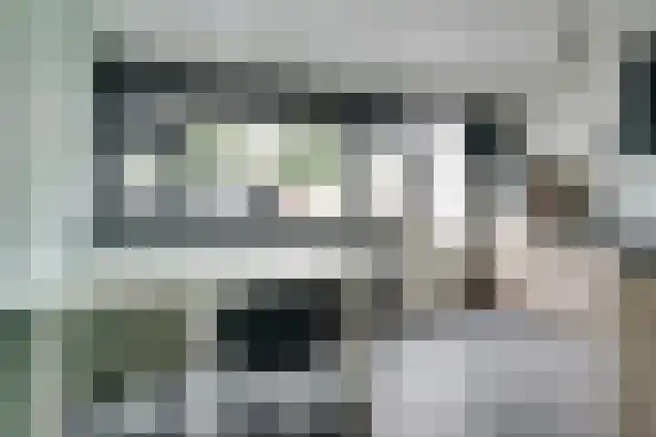 Zesde Slagen 64 's-Hertogenbosch thumbnail 10