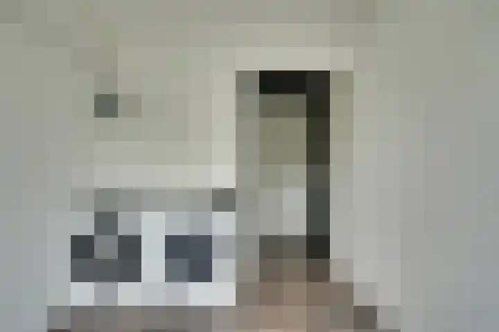 Zesde Slagen 64 's-Hertogenbosch thumbnail 23