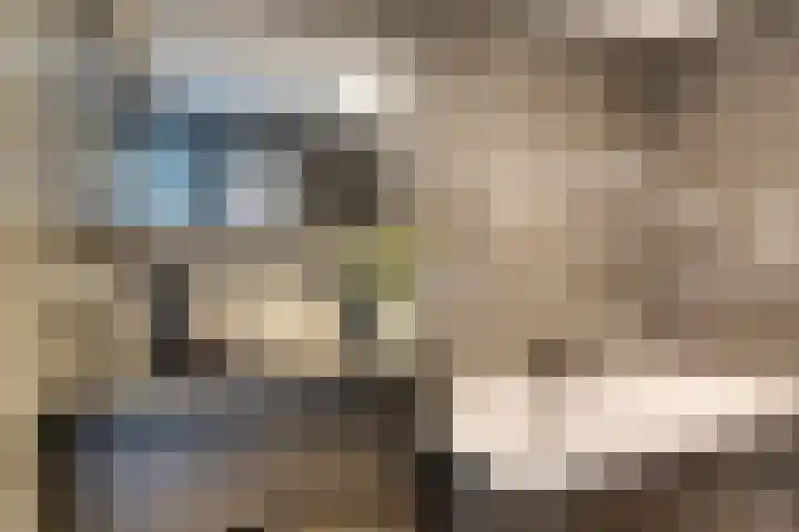 Zesde Slagen 64 's-Hertogenbosch thumbnail 25