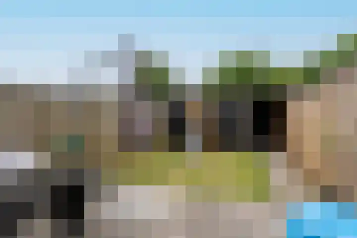 Zesde Slagen 64 's-Hertogenbosch thumbnail 27