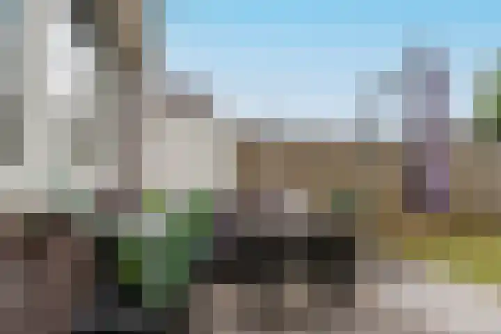 Zesde Slagen 64 's-Hertogenbosch thumbnail 28