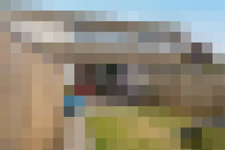 Zesde Slagen 64 's-Hertogenbosch thumbnail 29