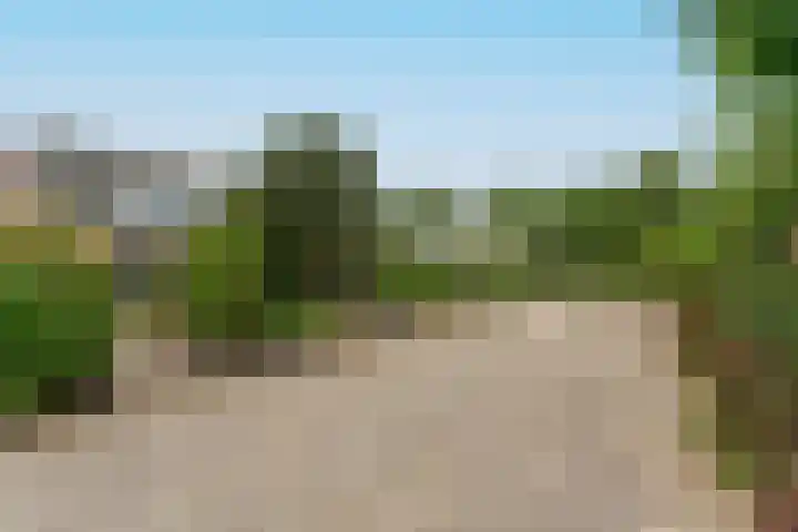 Zesde Slagen 64 's-Hertogenbosch thumbnail 31