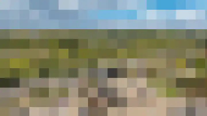 Zesde Slagen 7 's-Hertogenbosch thumbnail 4