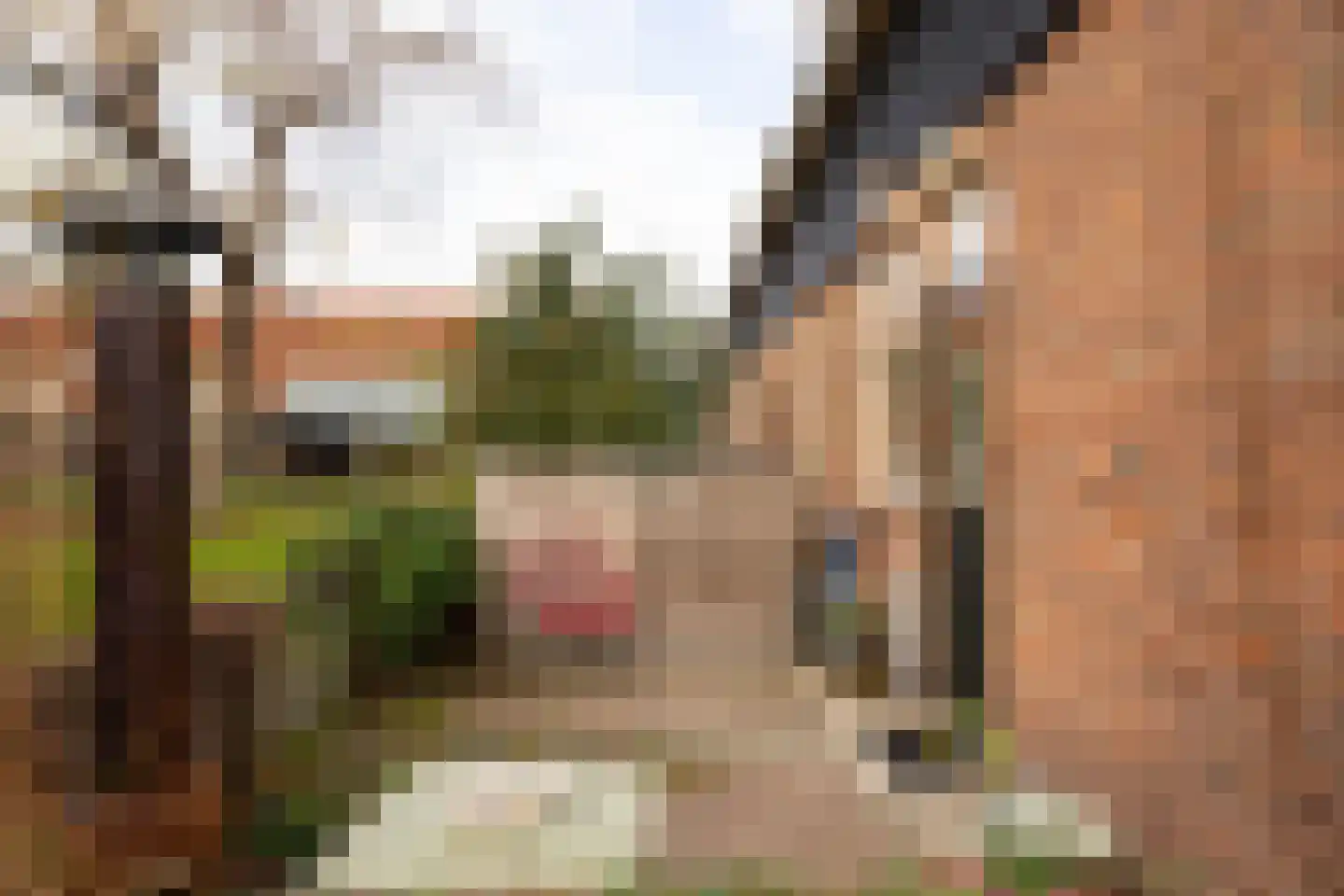 Zesde Vogelstraat 41 Amsterdam thumbnail 24