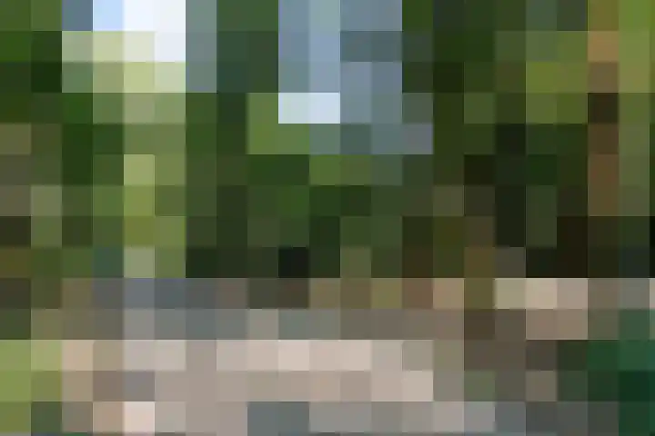 Zesde Vogelstraat 5 Amsterdam thumbnail 32