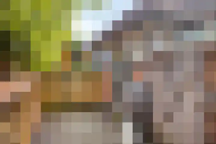 Zesde Vogelstraat 5 Amsterdam thumbnail 4