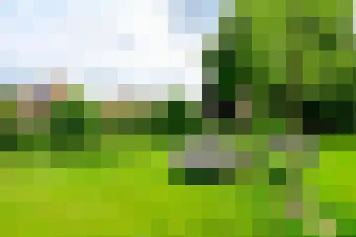 Zeshoven 19 Hilversum thumbnail 17
