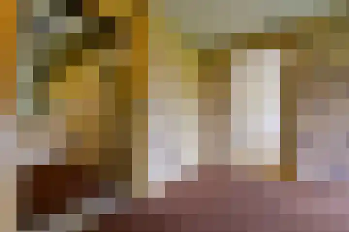Zeshoven 19 Hilversum thumbnail 5