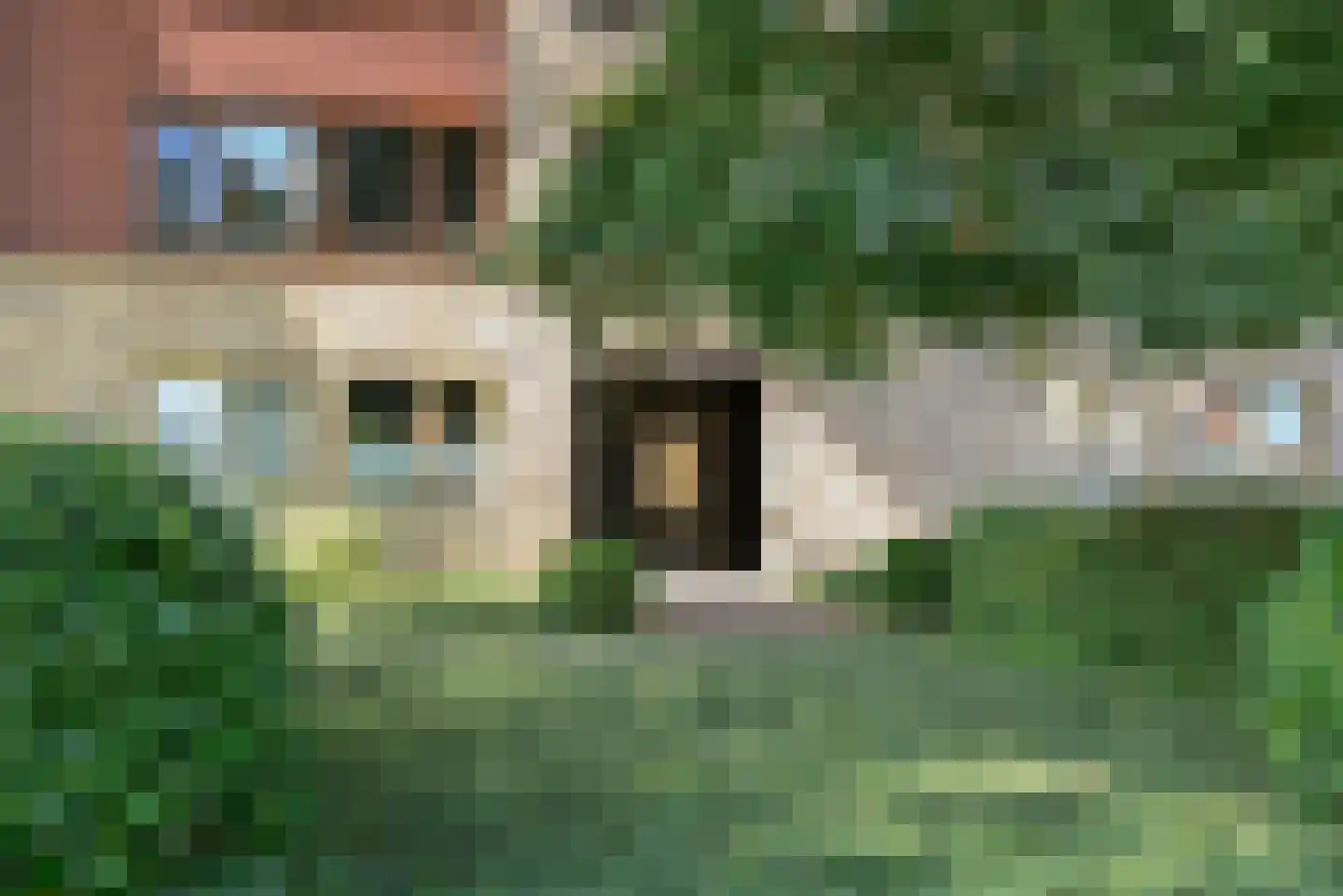 Zeshoven 33 Hilversum thumbnail 4