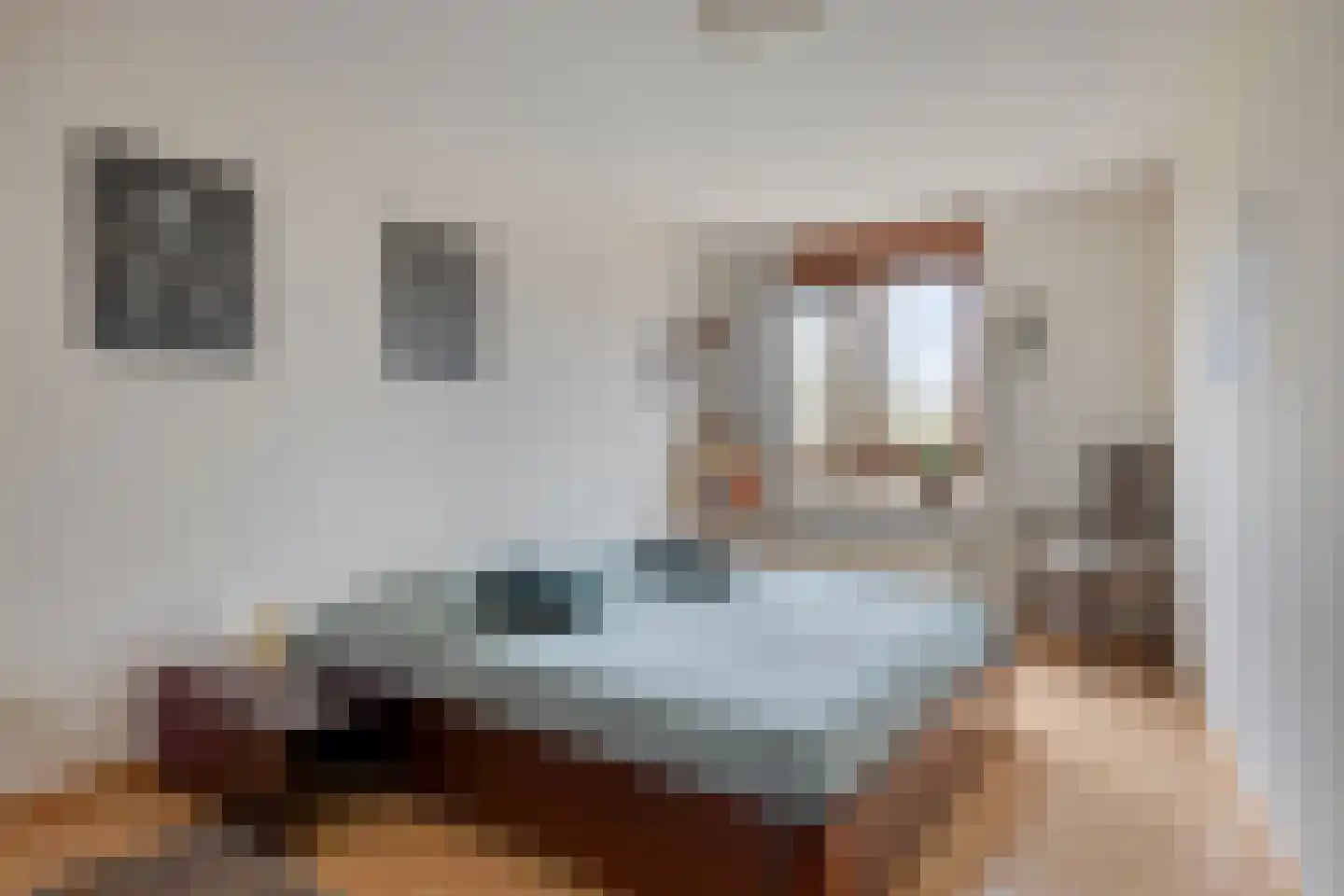 Zeshoven 39 Hilversum thumbnail 17