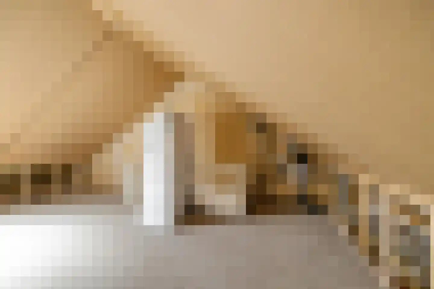 Zeshuizen 16 Delfzijl thumbnail 33