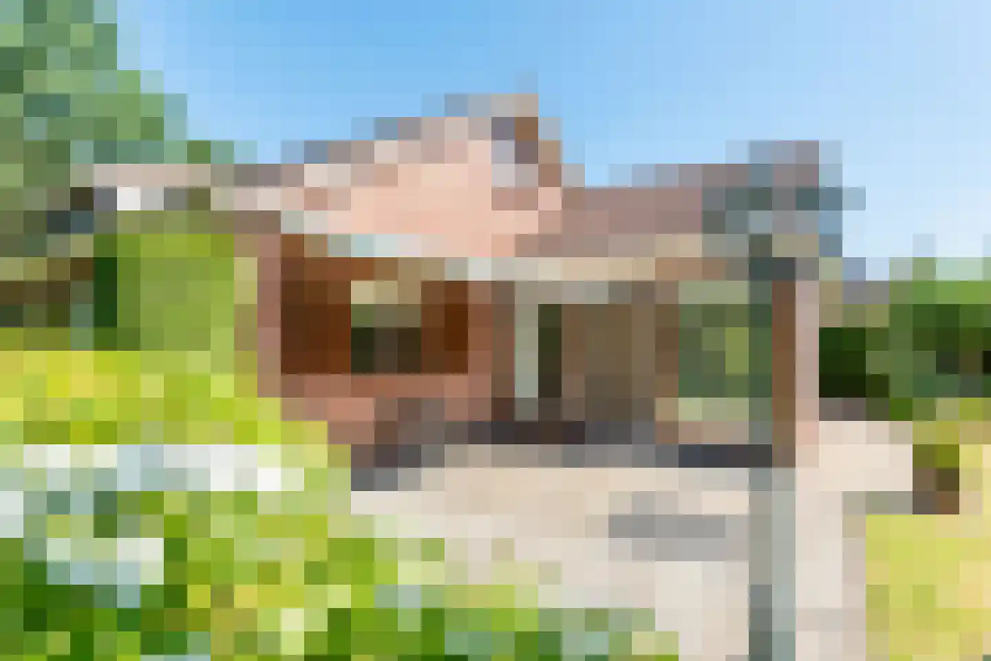 Zeskamp 20 Ulft thumbnail 45