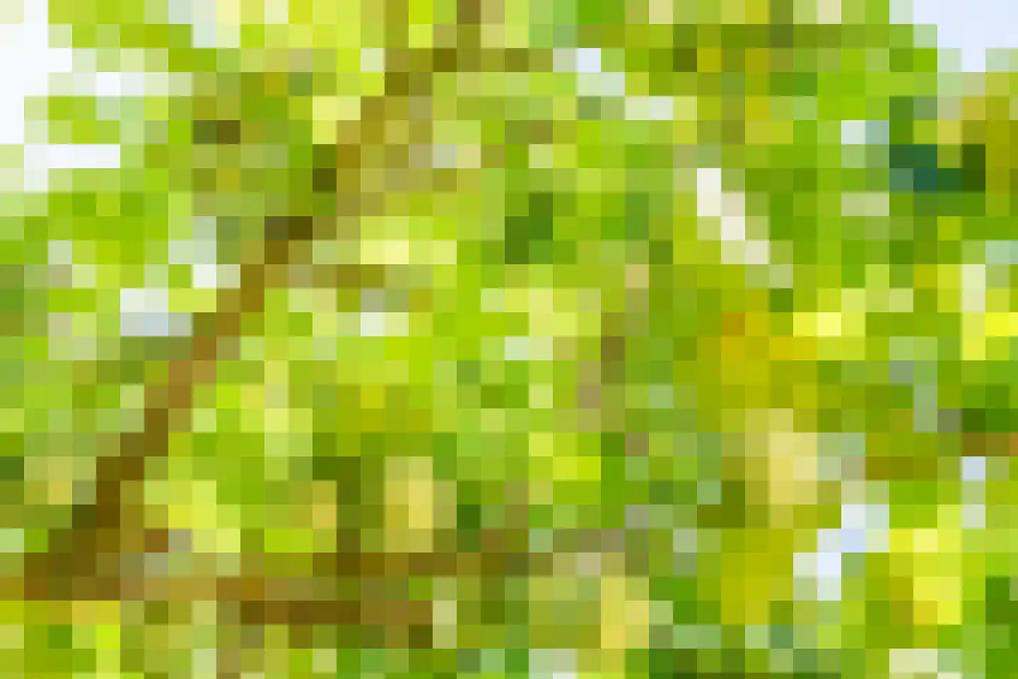 Zeskamp 20 Ulft thumbnail 47