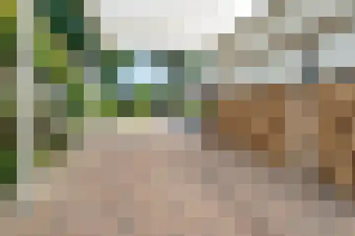 Zeskampen 12 Tynaarlo thumbnail 12