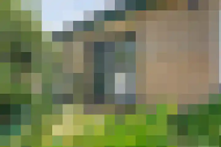 Zeskampen 12 Tynaarlo thumbnail 13