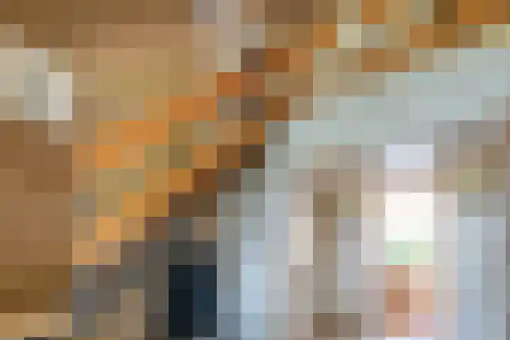 Zeskampen 12 Tynaarlo thumbnail 17