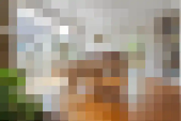 Zeskampen 12 Tynaarlo thumbnail 18