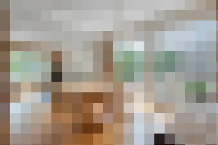 Zeskampen 12 Tynaarlo thumbnail 20