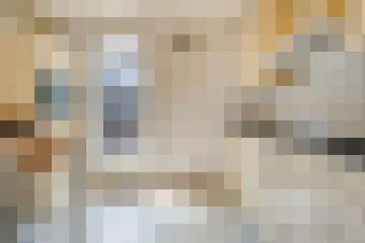 Zeskampen 12 Tynaarlo thumbnail 24