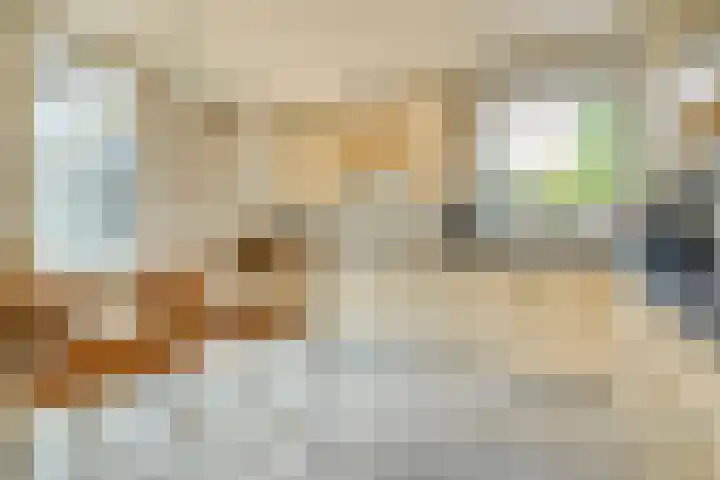 Zeskampen 12 Tynaarlo thumbnail 25