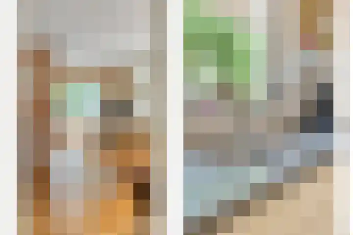 Zeskampen 12 Tynaarlo thumbnail 26