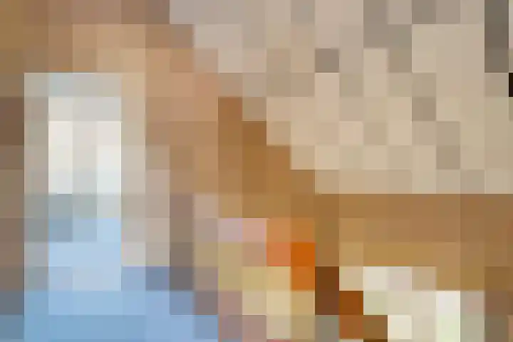 Zeskampen 12 Tynaarlo thumbnail 28