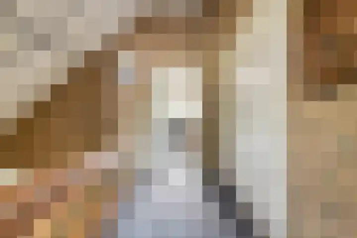Zeskampen 12 Tynaarlo thumbnail 29