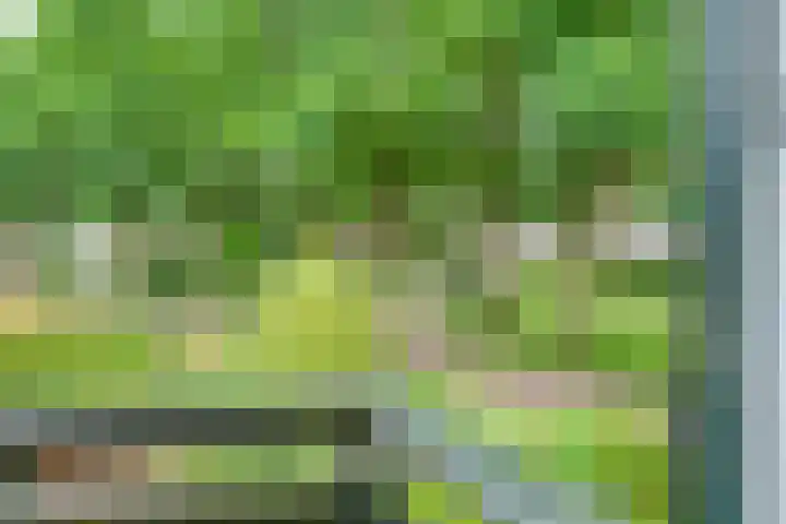 Zeskampen 12 Tynaarlo thumbnail 37