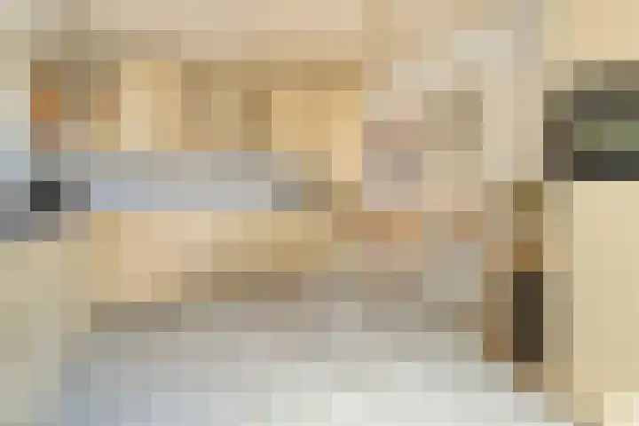 Zeskampen 12 Tynaarlo thumbnail 4
