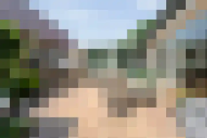 Zeskampen 12 Tynaarlo thumbnail 40