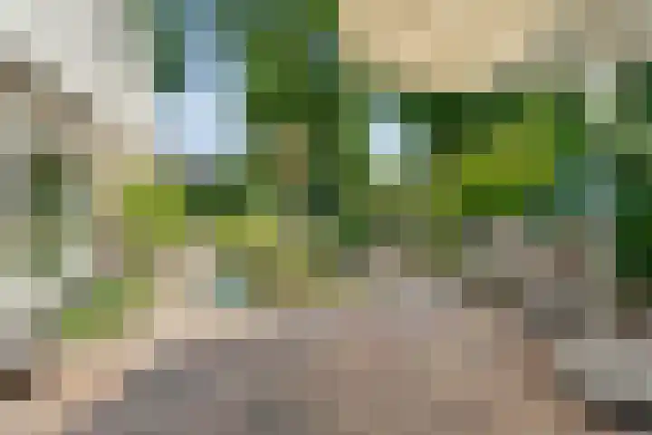 Zeskampen 12 Tynaarlo thumbnail 41