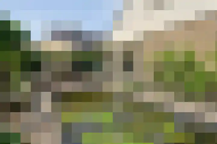 Zeskampen 12 Tynaarlo thumbnail 42