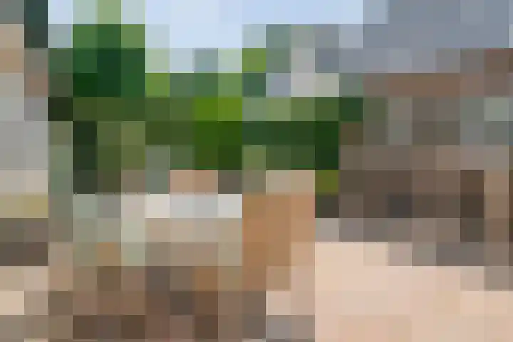 Zeskampen 12 Tynaarlo thumbnail 43