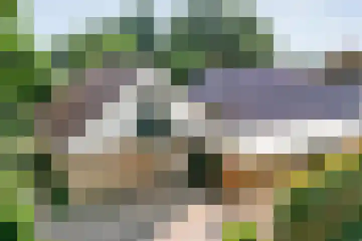 Zeskampen 12 Tynaarlo thumbnail 6