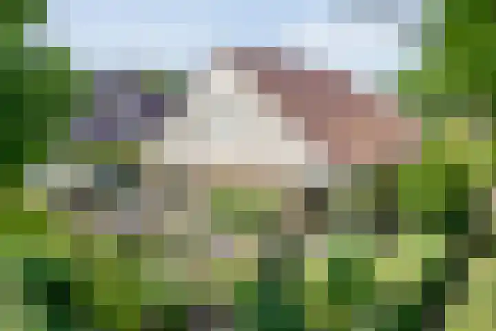 Zeskampen 12 Tynaarlo thumbnail 7