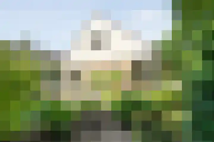 Zeskampen 12 Tynaarlo thumbnail 8