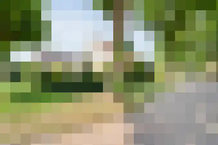 Zeskampen 12 Tynaarlo thumbnail 9