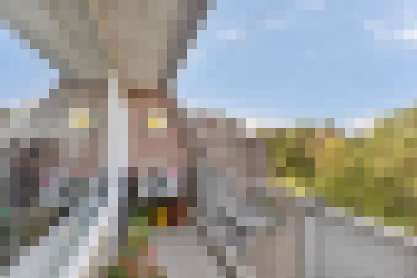Zeskant 111 Heerlen thumbnail 11