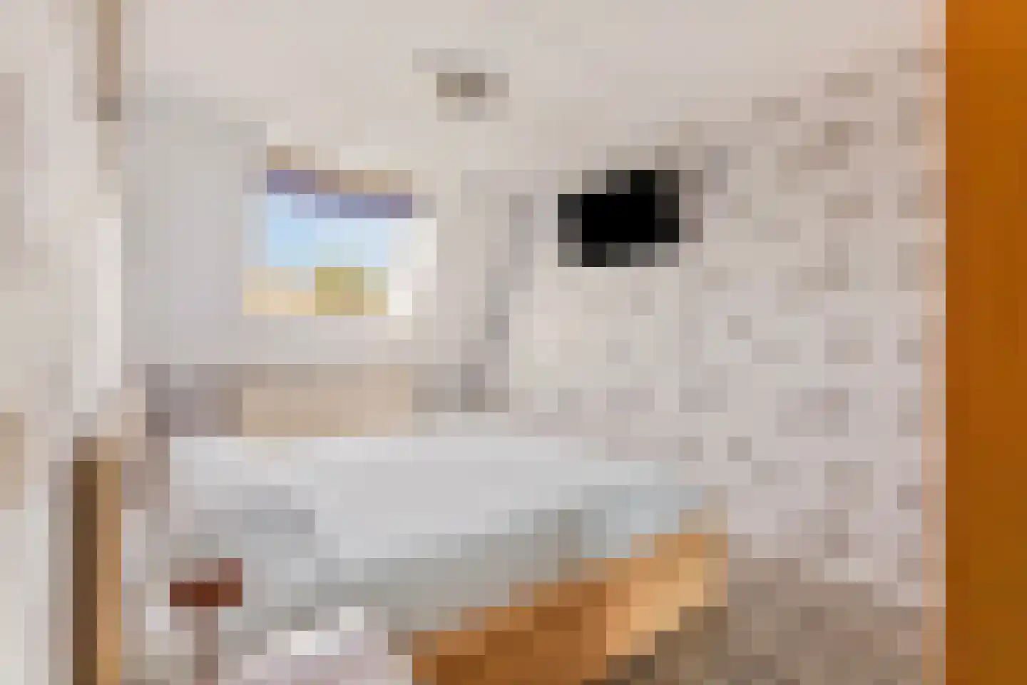 Zeskant 111 Heerlen thumbnail 14