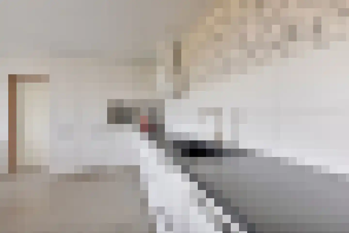 Zeskant 111 Heerlen thumbnail 9