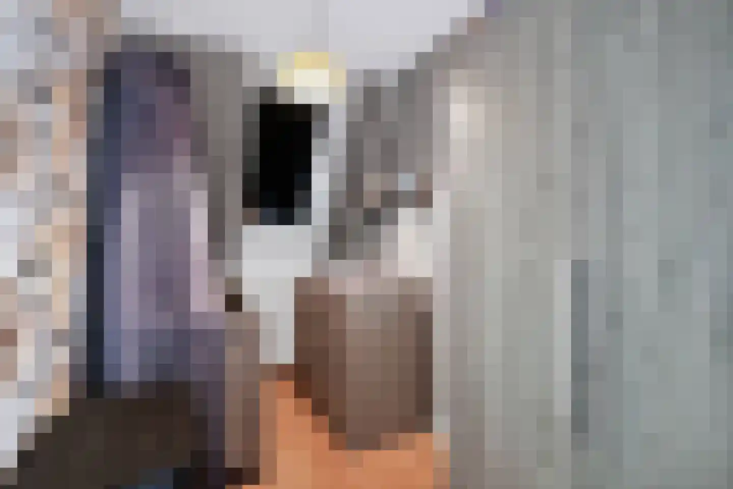 Zeskant 115 Heerlen thumbnail 10