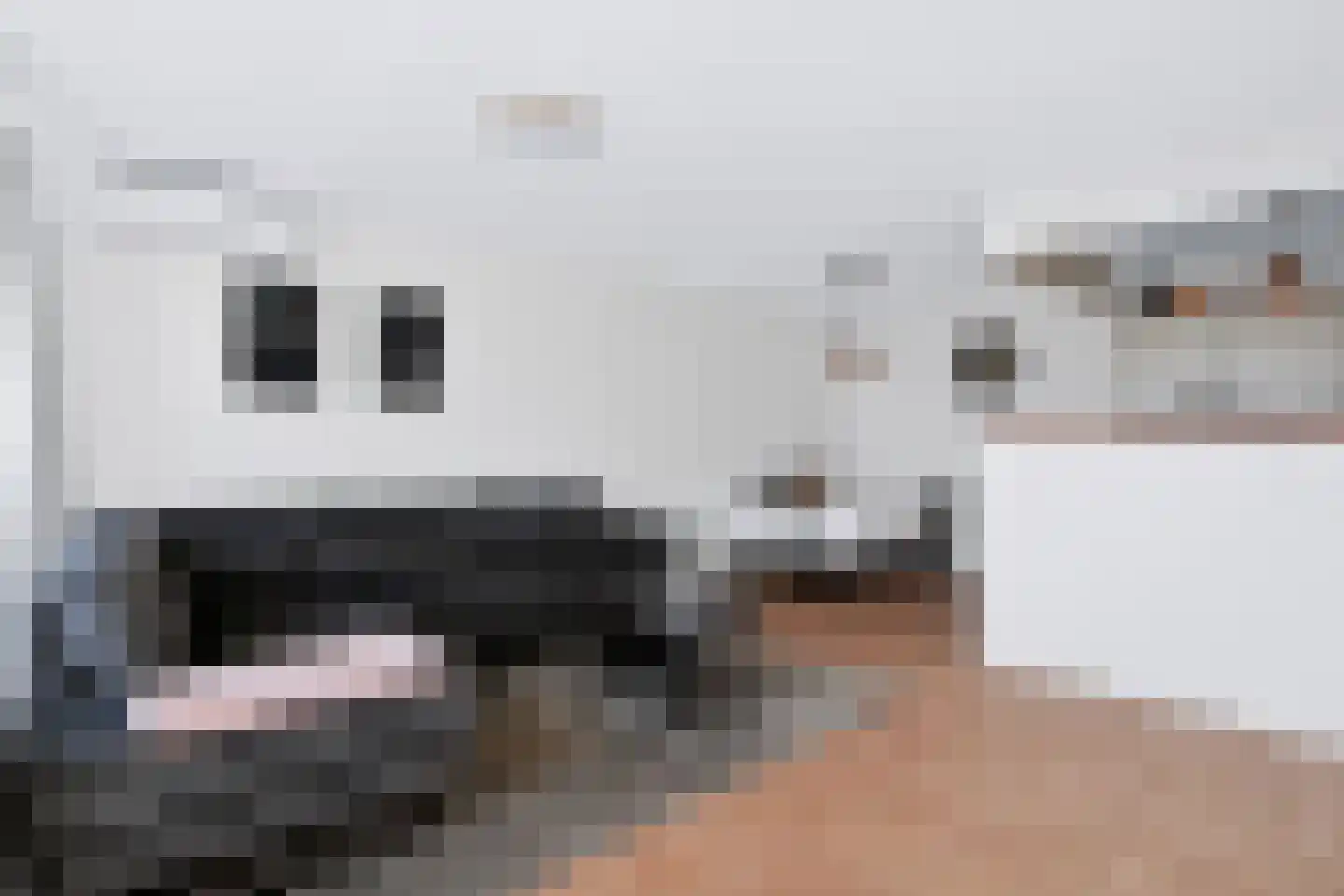 Zeskant 115 Heerlen thumbnail 6