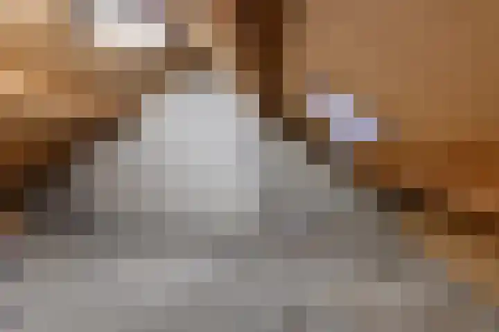 Zeskant 145 Heerlen thumbnail 21