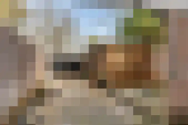 Zeskant 145 Heerlen thumbnail 26