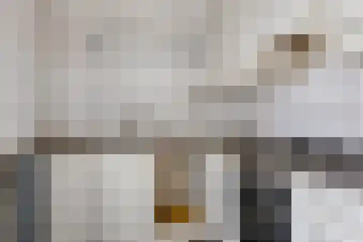 Zeskant 145 Heerlen thumbnail 28