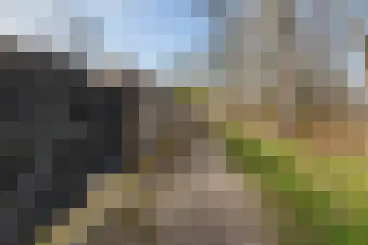 Zeskant 145 Heerlen thumbnail 33
