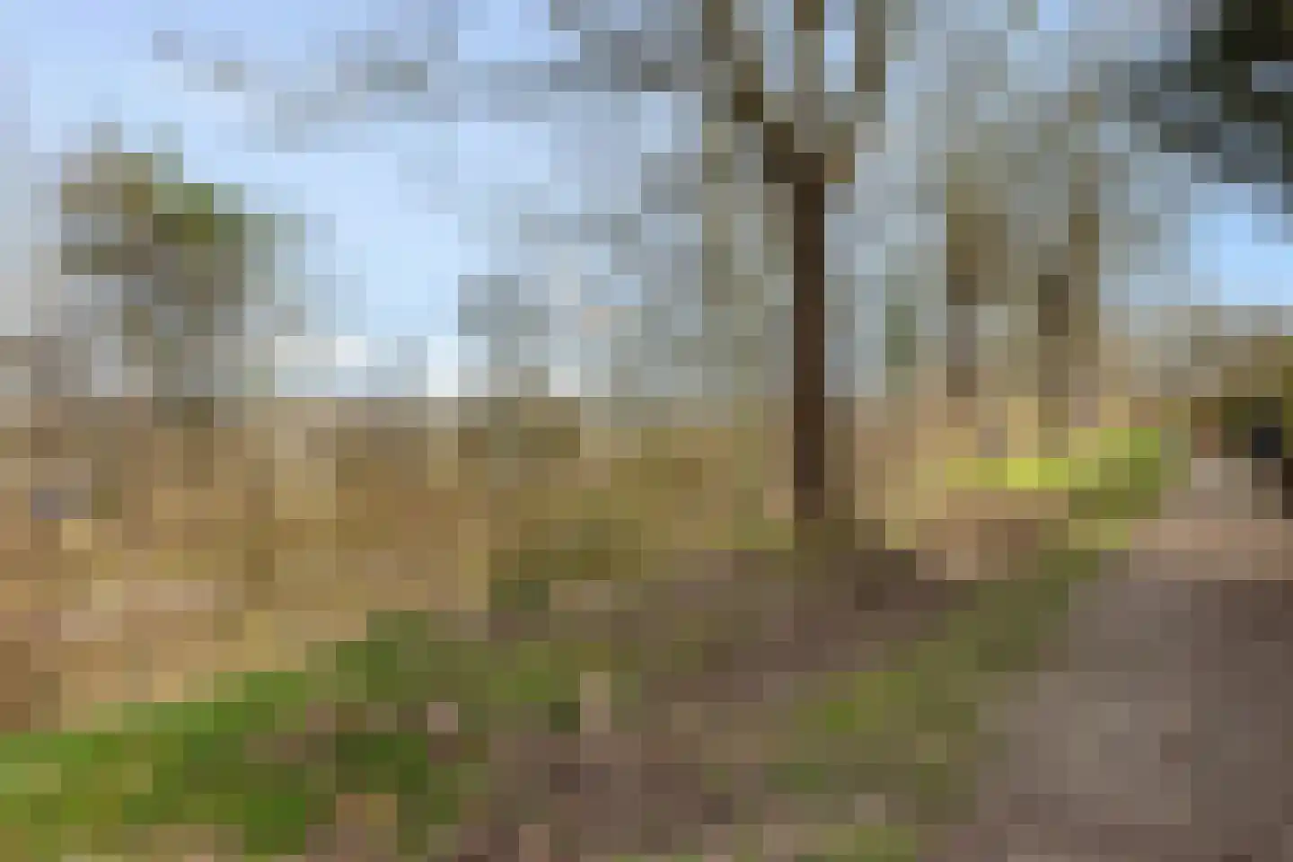 Zeskant 145 Heerlen thumbnail 34