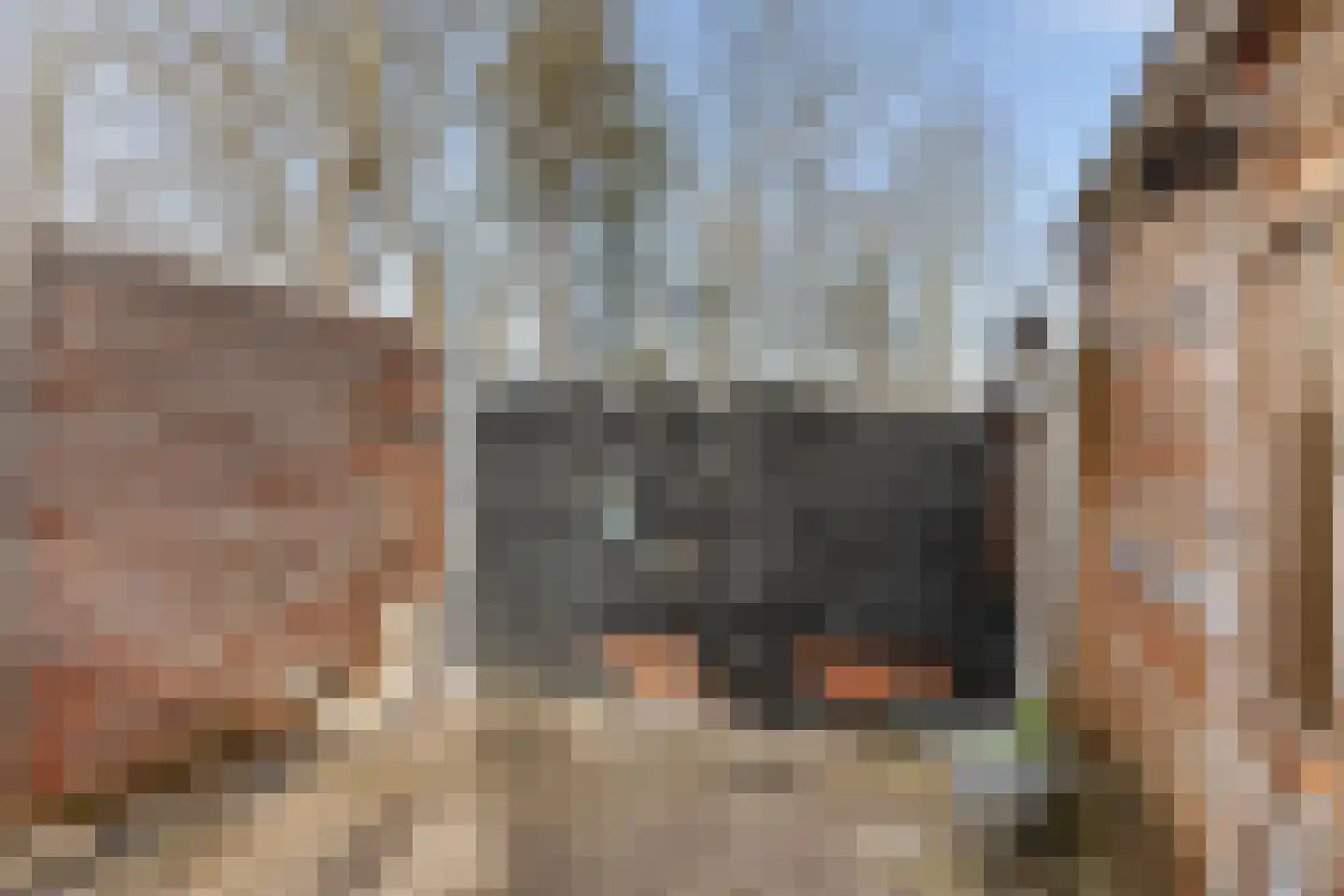 Zeskant 145 Heerlen thumbnail 35