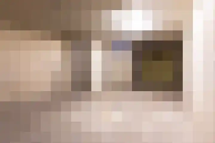 Zeskant 209 Heerlen thumbnail 20